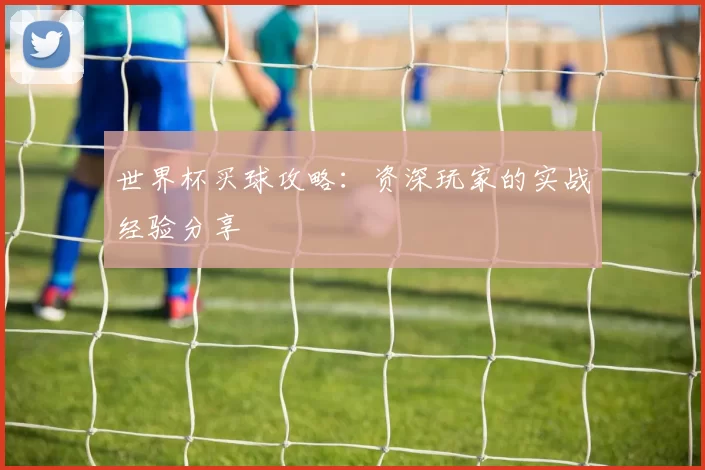 世界杯买球攻略:资深玩家的实战经验分享