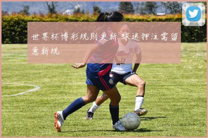 世界杯博彩规则更新 球迷押注需留意新规