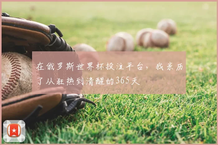 在俄罗斯世界杯投注平台，我亲历了从狂热到清醒的365天