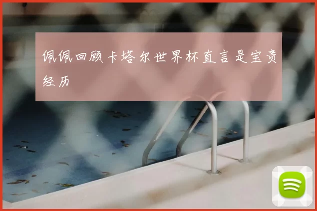 佩佩回顾卡塔尔世界杯直言是宝贵经历