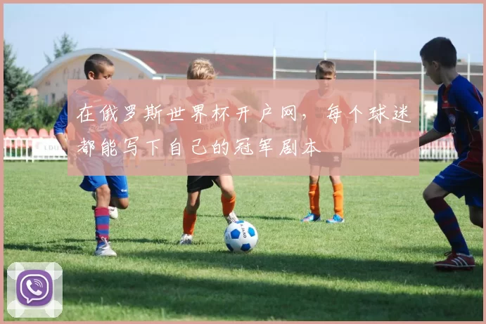 在俄罗斯世界杯开户网，每个球迷都能写下自己的冠军剧本
