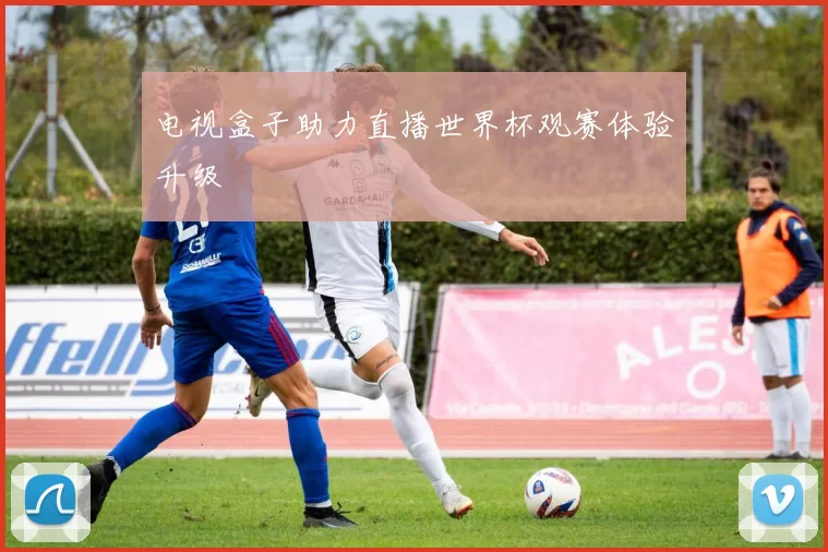 电视盒子助力直播世界杯观赛体验升级