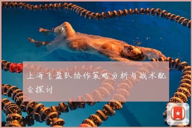 上海飞盘队协作策略分析与战术配合探讨