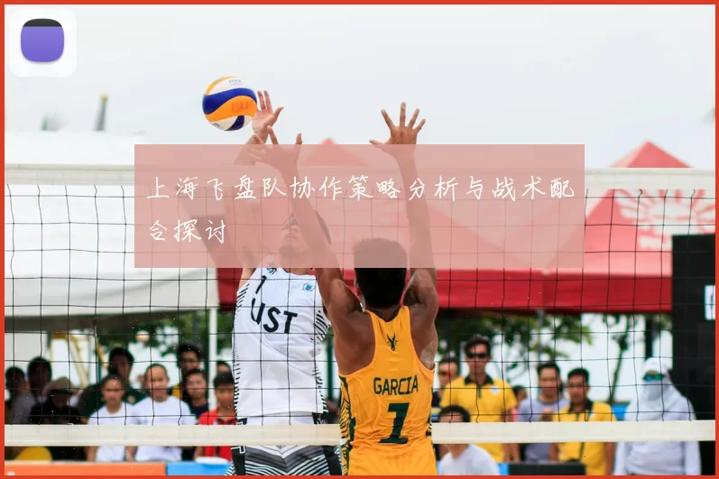 上海飞盘队协作策略分析与战术配合探讨