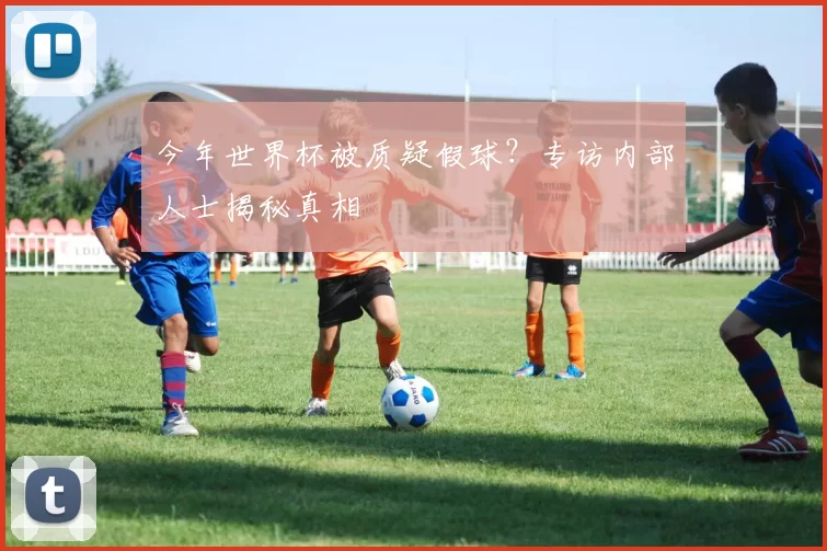 今年世界杯被质疑假球?专访内部人士揭秘真相