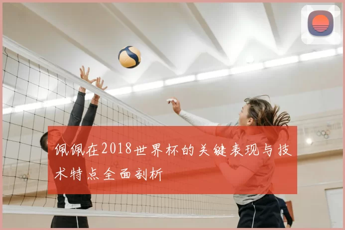 佩佩在2018世界杯的关键表现与技术特点全面剖析
