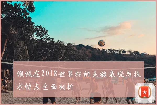 佩佩在2018世界杯的关键表现与技术特点全面剖析