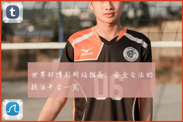 世界杯博彩网站推荐:安全合法的投注平台一览