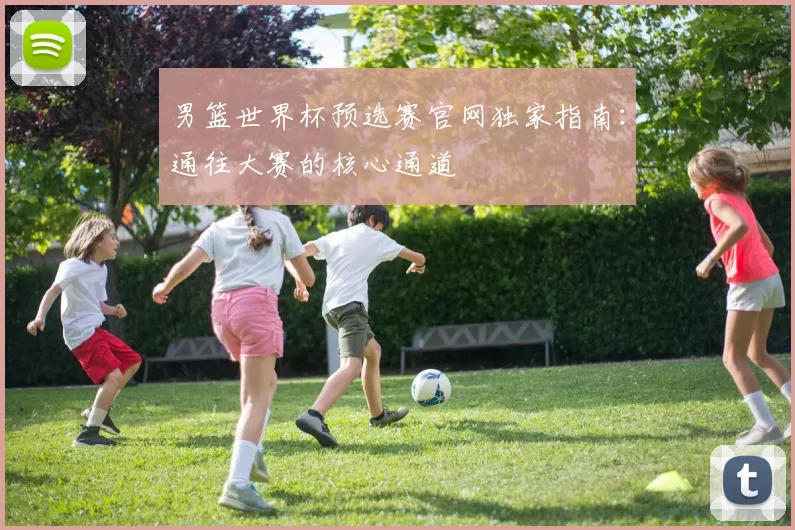 男篮世界杯预选赛官网独家指南：通往大赛的核心通道