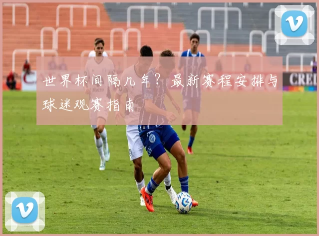 世界杯间隔几年？最新赛程安排与球迷观赛指南
