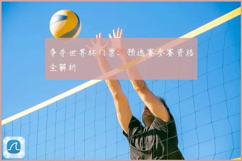 争夺世界杯门票：预选赛参赛资格全解析